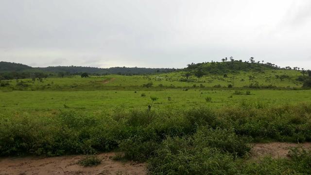 Fazenda 282 alqueires a 1 km do asfalto em açailândia - Foto 2