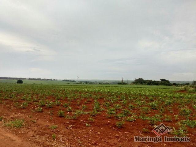 8060 | chácara para alugar em não informado, maringá - Foto 4