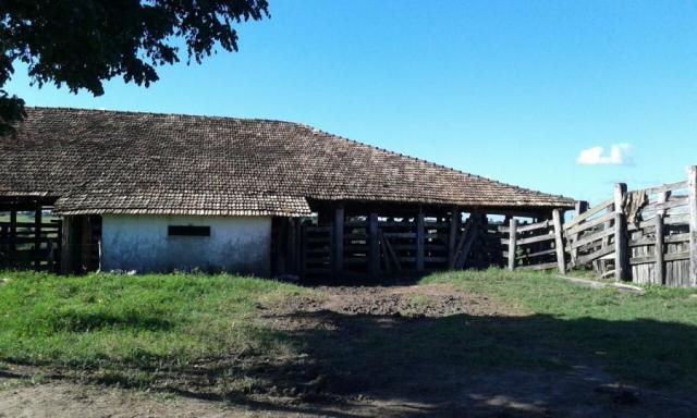 Fazenda para venda em nova viçosa, distrito de argolo - Foto 12
