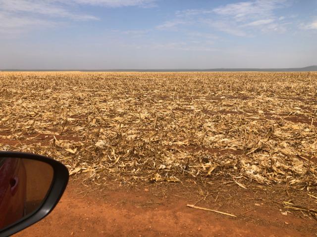 1480 Hectares, argilosa acima 40%, planta soja, algodão, milho, Diamantino-MT - Foto 2