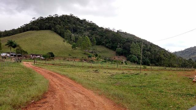 Fazenda 30 Alq. Ibiraçu/ES-Plana 60%-Linda, p/Gado etc, Muita Água - Foto 5