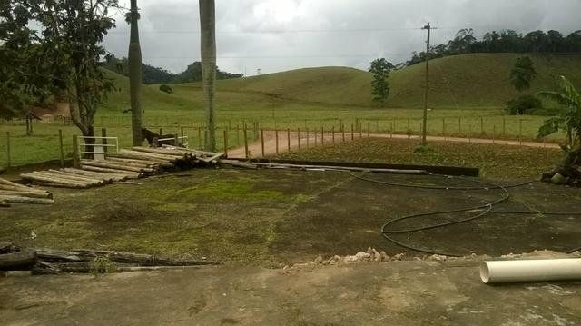 Fazenda 30 Alq. Ibiraçu/ES-Plana 60%-Linda, p/Gado etc, Muita Água - Foto 19