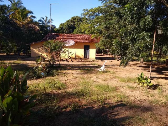 Sítio - 23 Alqueires - Santa Cruz - Cristianopolis - Foto 3