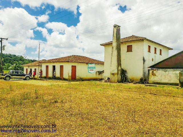 Fazenda mista de cacau e gado. Área de 203 Hectares