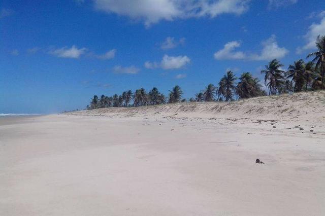 Sítio 87,23 tarefas frente ao mar em Costa Azul - Foto 6