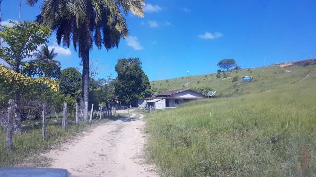 Maravilhosa Fazenda em Barrolândia, Belmonte - BA com 809 Hectares... - Foto 15