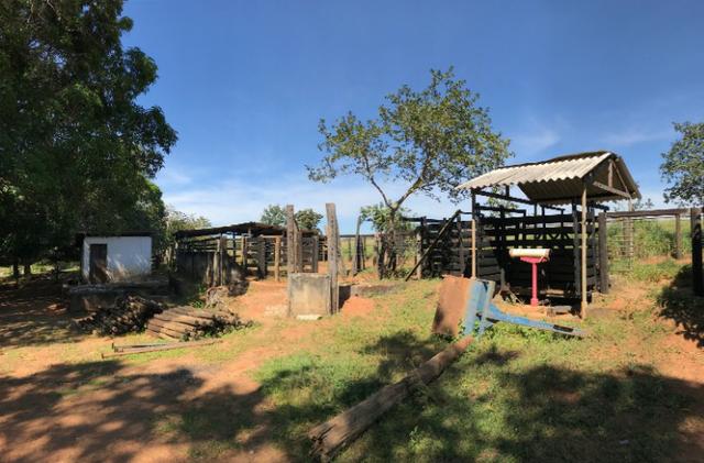 Fazenda 16.5 Alqueires ( 80 ha) Aragoiânia-GO - Foto 7