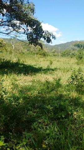 Fazenda com 806 hectares na Agrovila das Palmeiras a 130 km de Cuiabá - Foto 3