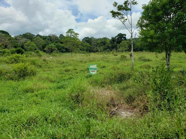 Ubaitaba. Fazenda produtiva de 139 Hectares a beira do asfalto. - Foto 16
