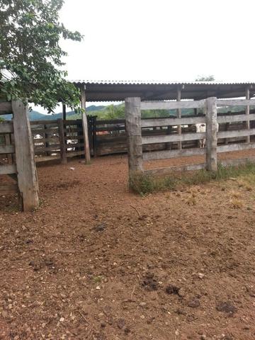 Fazenda com 806 hectares na Agrovila das Palmeiras a 130 km de Cuiabá - Foto 17