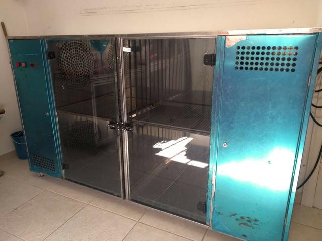 Maquina de secar cães - saara turbo