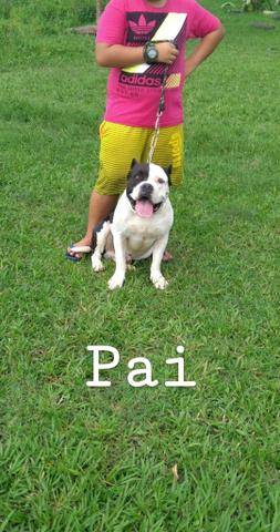 Pit monster F1 URGENTE