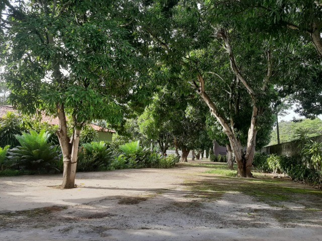 Chácara em Teresina-PI - Foto 4