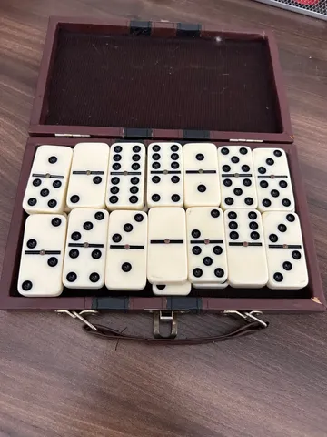 Jogo De Dominó Profissional Osso Colorido 28 Pedras Dominoes