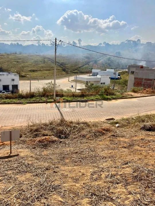 Lote no Darcy Dalla Bernardina