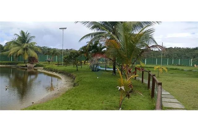 Reserva Mundo Verde - Abrantes - Foto 5