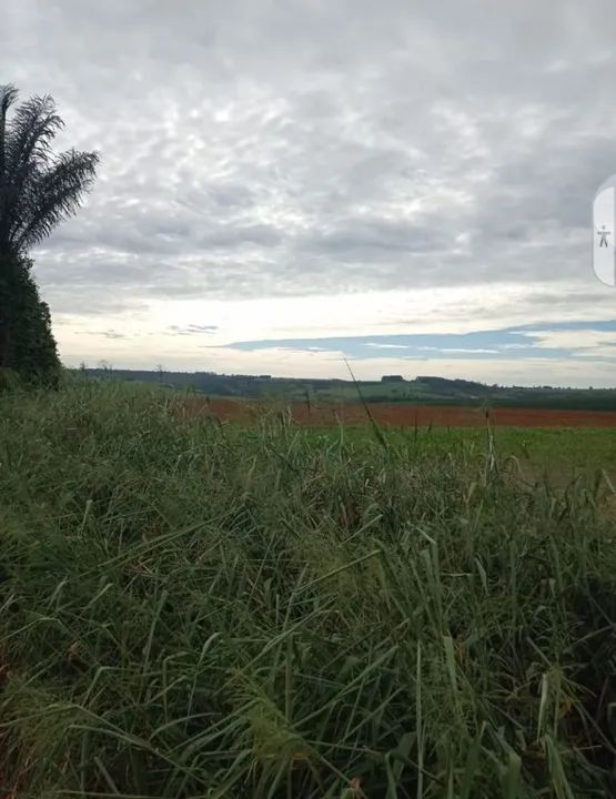 Fazenda 200 alqueiro de oportunidade - Foto 4
