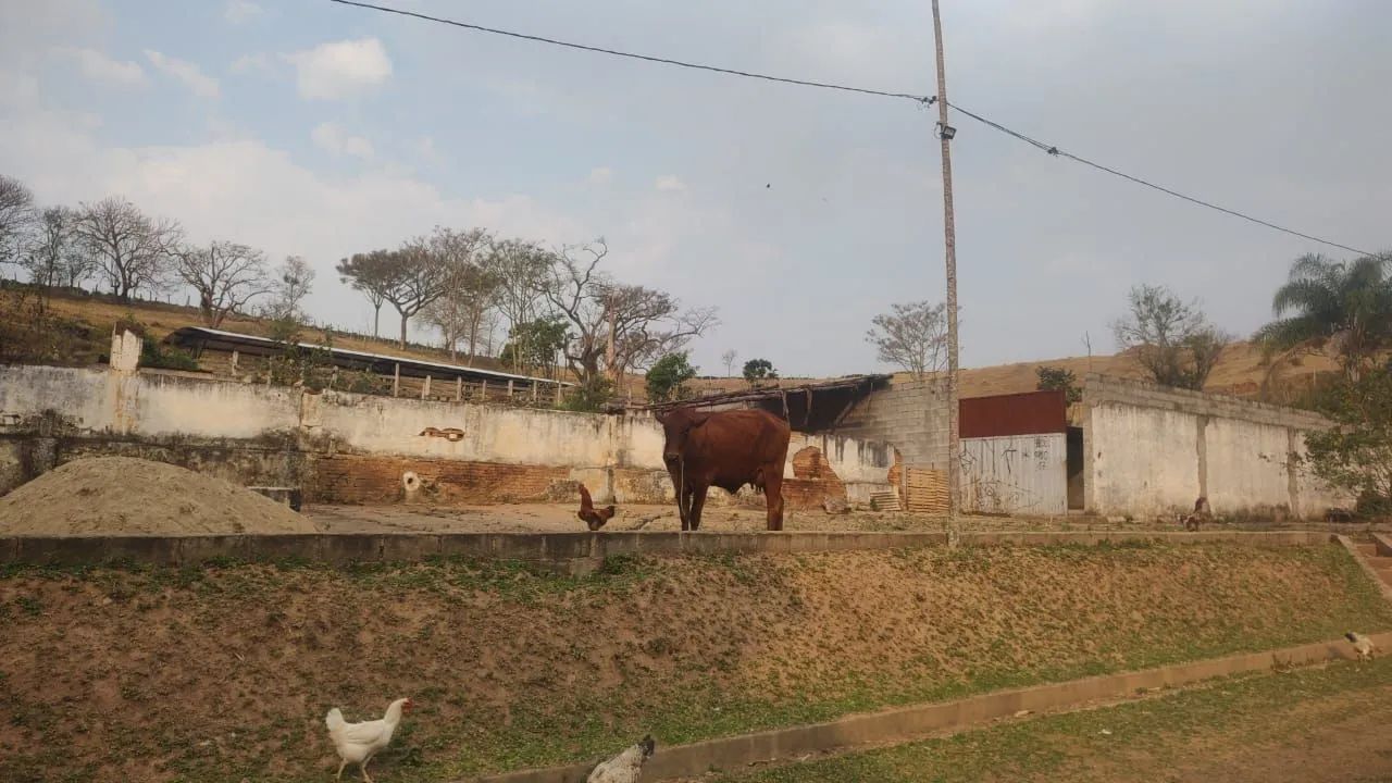 foto - Ribeirão Preto - Jardim Castelo Branco