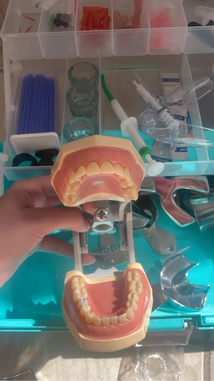 Manequim odontológico MOM - Foto 2