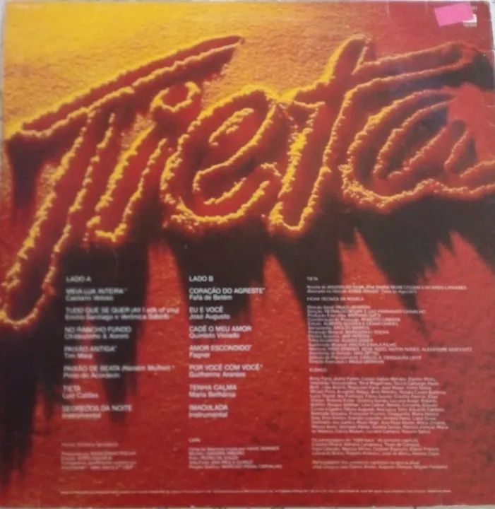 Disco Vinil TIETA - Foto 2
