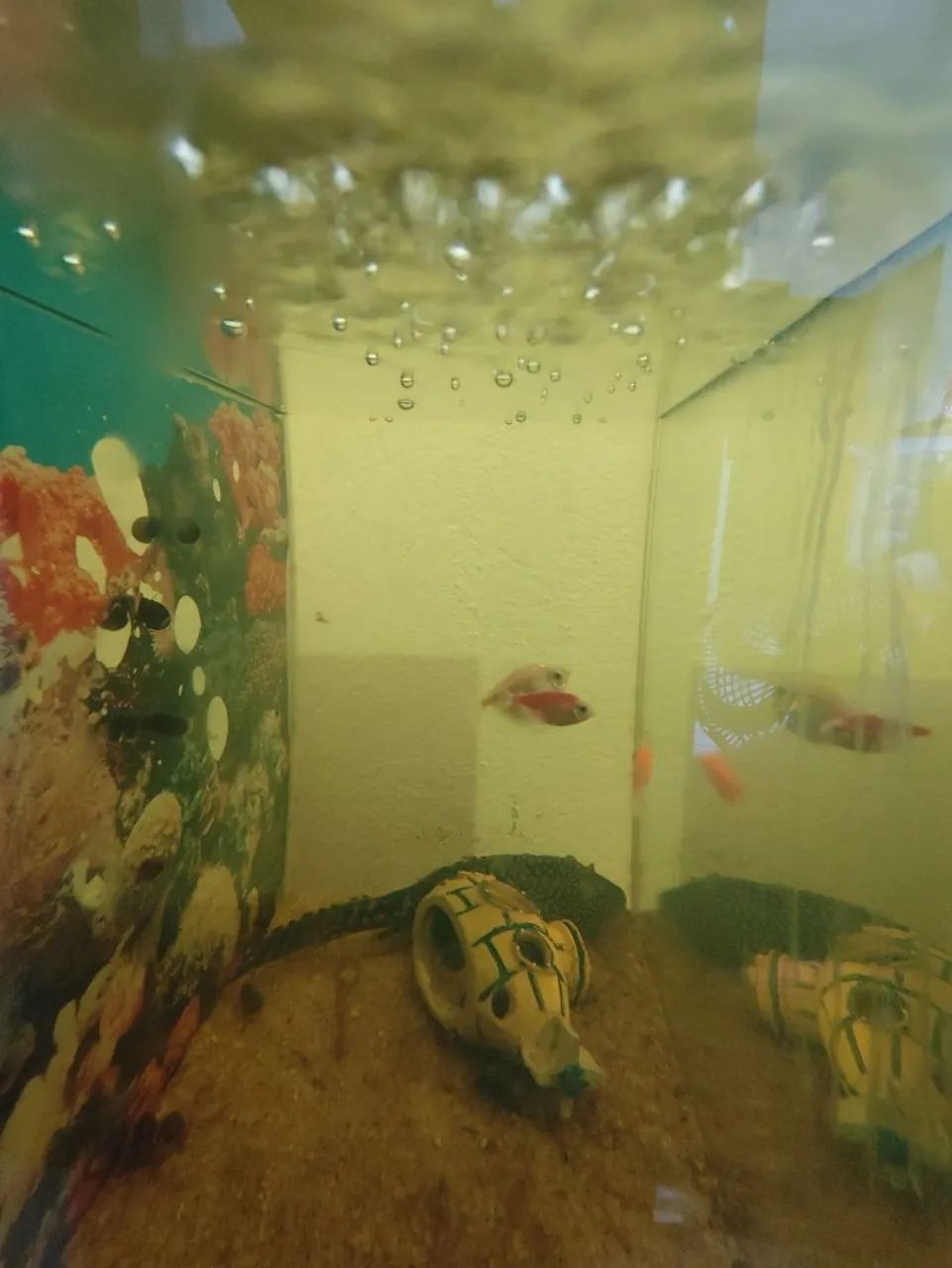 Aquário com Filtro e Decoração - Foto 6