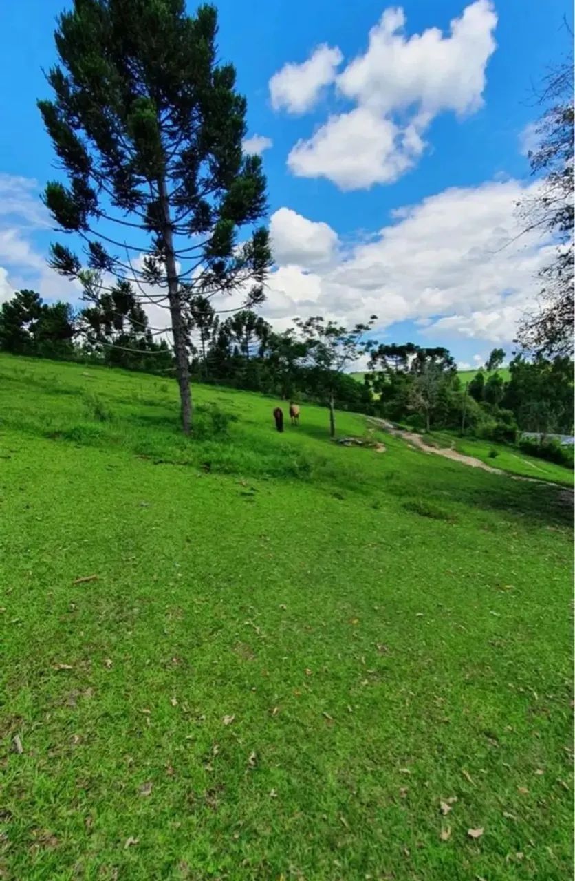 Refúgio na Natureza com conforto e linda vista? Itapeva/SP - Foto 5