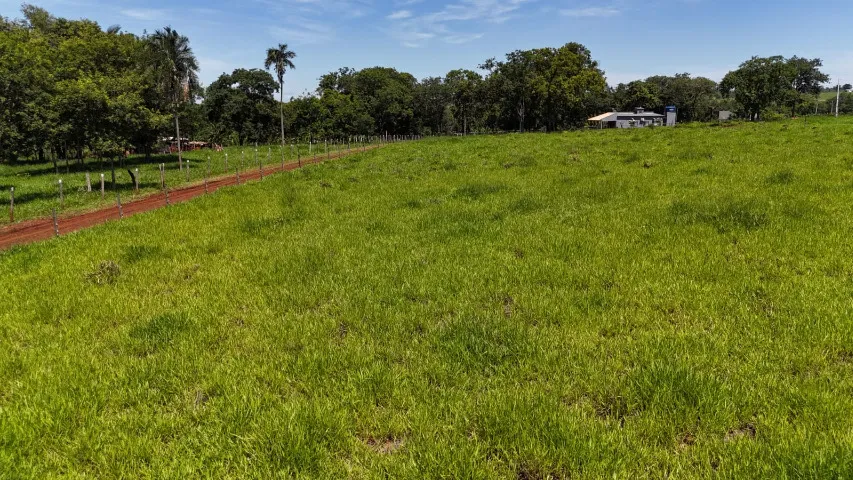 Vende-se área de 5 mil na saída de SP, ótima localização !!!