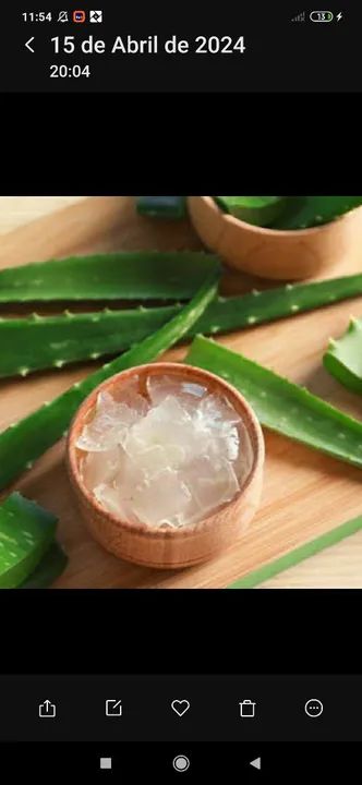 Gel de Babosa - Aloé vera  natural 