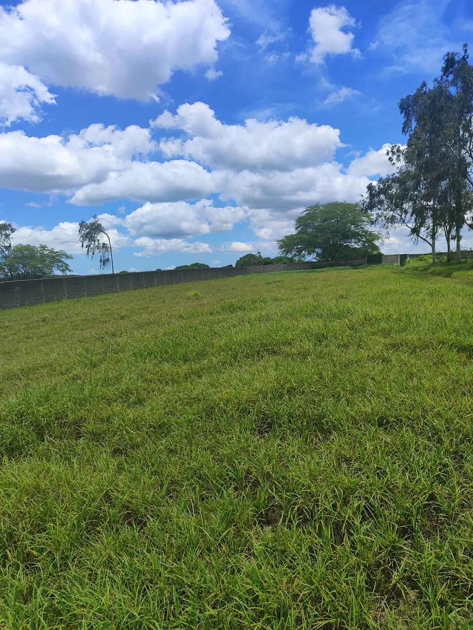 fazenda com 37 hectares em comum município de Monte Alegre estruturada - Foto 5