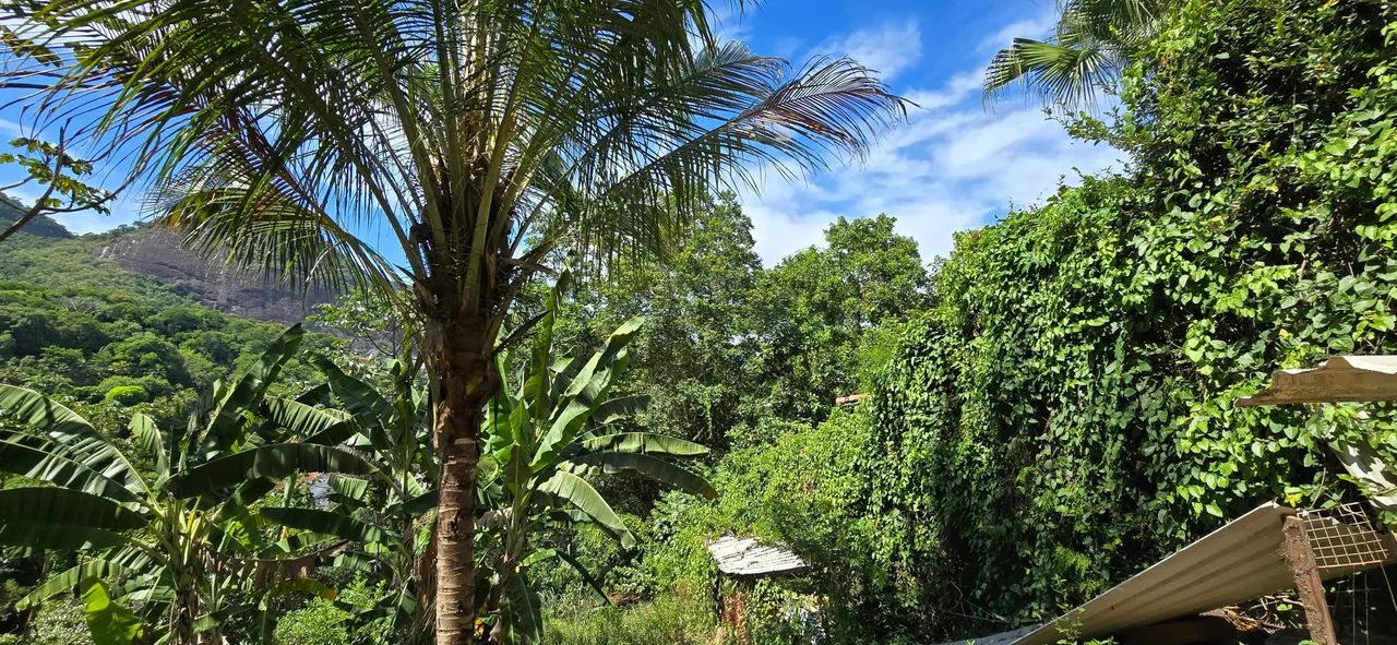 Freguesia. Terreno com 2.000m². Diversas Possibilidades. Rio de Janeiro-RJ. - Foto 3
