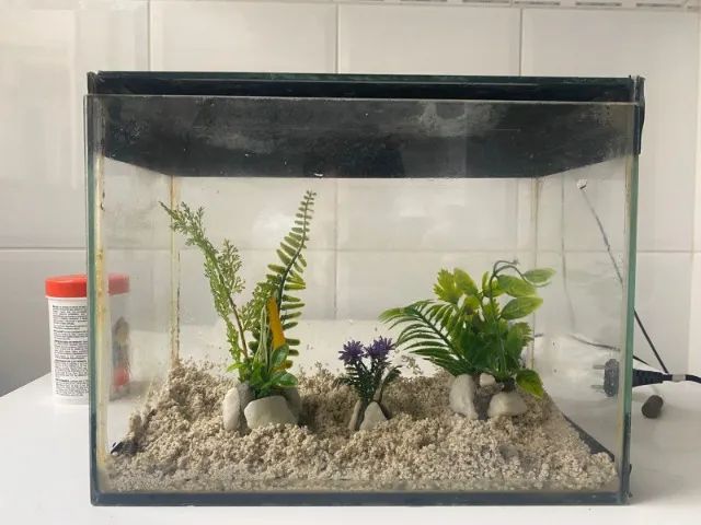 Aquário Completo com Bomba de Ar e Sifão