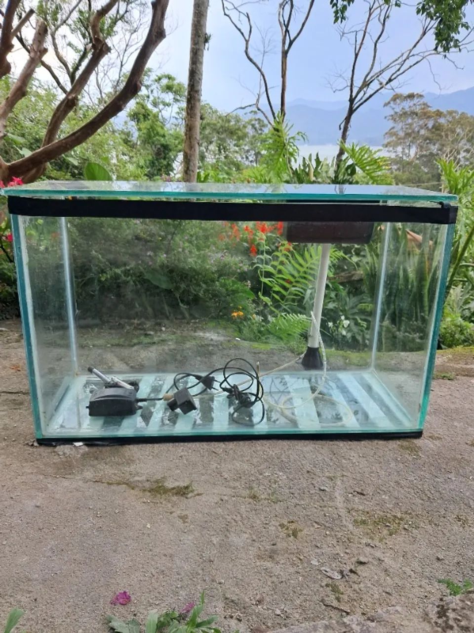 Aquário cem litros completo 