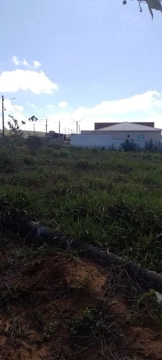 Terreno Loteamento Monte Hermon - Garanhuns PE - 55.000,00 - Foto 4