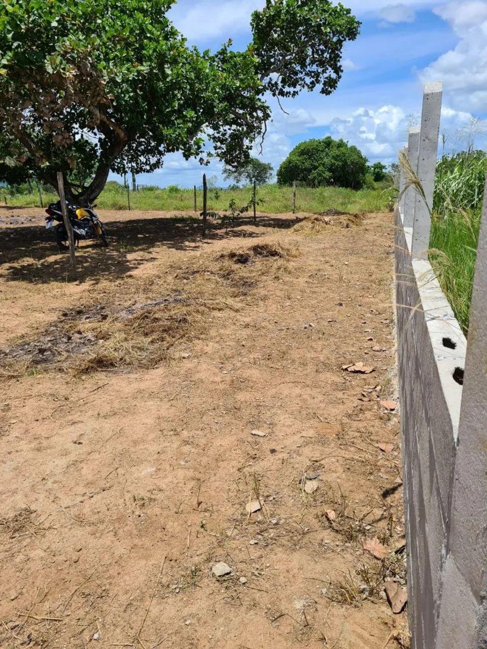 TERRENO - Foto 3