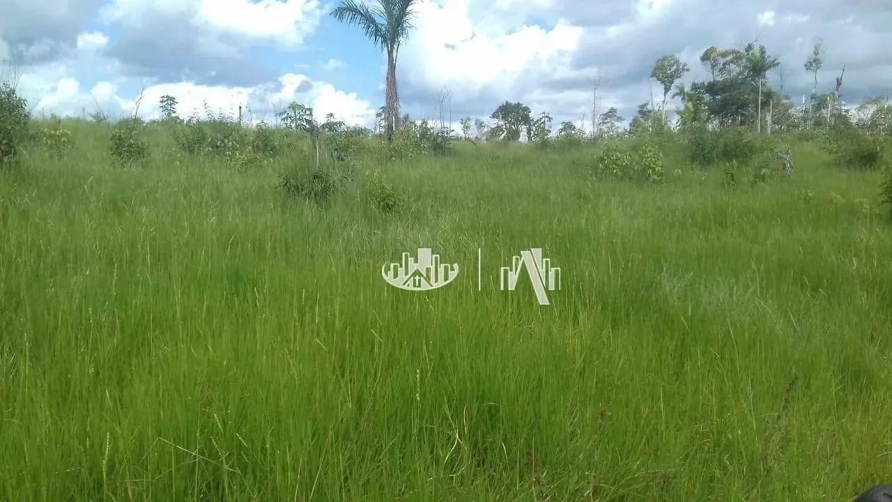 Fazenda à venda, 14520000 m² por R$ 18.200.000,00 - São Francisco - Óbidos/PA - Foto 9