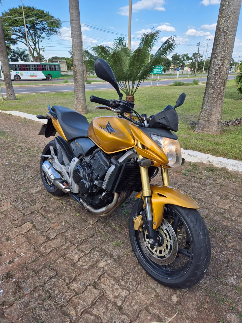 Honda Hornet, cb 600f hornet Cb hornet 600
