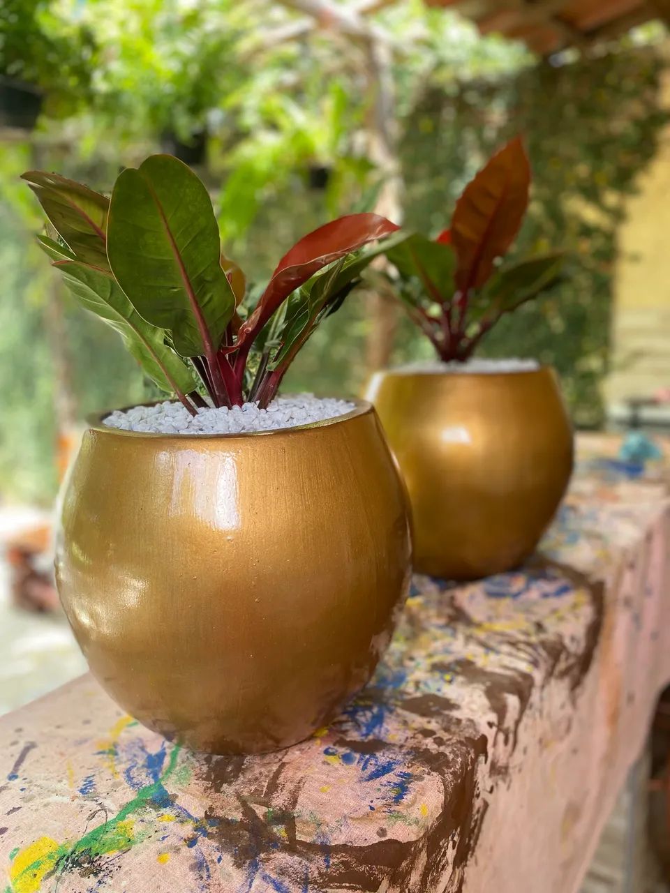 Jarro com planta
