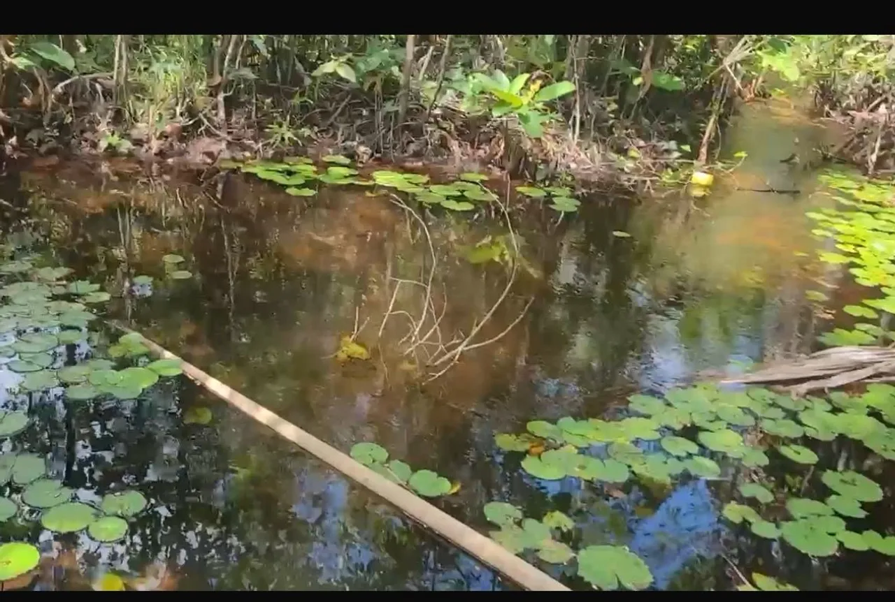Terreno em Morros com braço de rio passando nos fundos