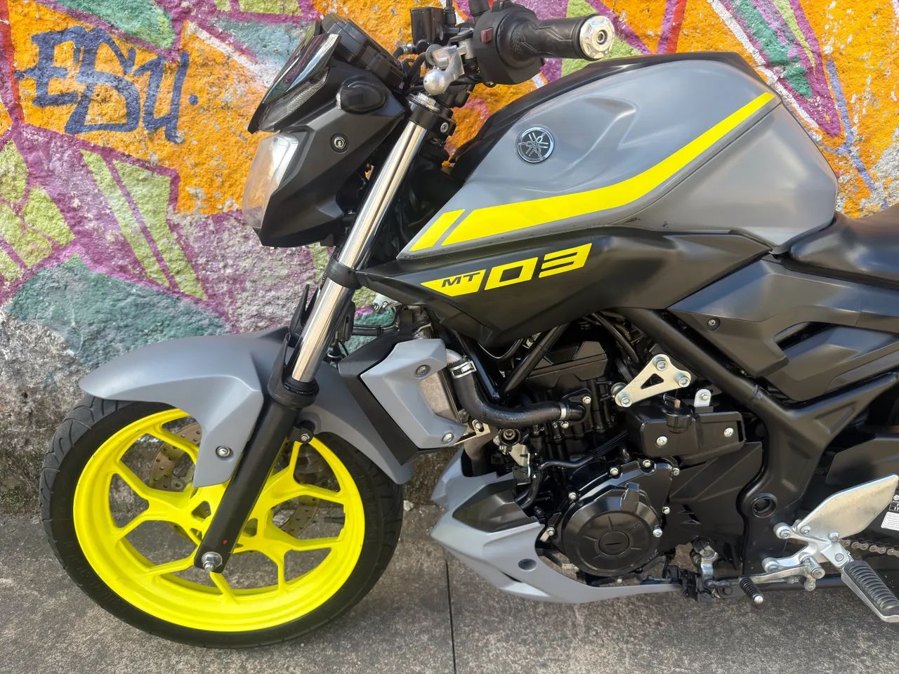 Mt 03 2019  - Foto 4