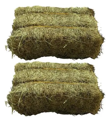 Feno de capim Coast Cross fardo de 12kg 