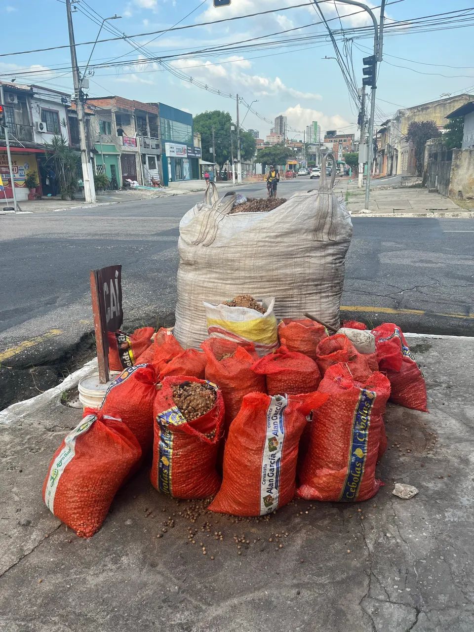 Caroço seco de Açaí  - Foto 2