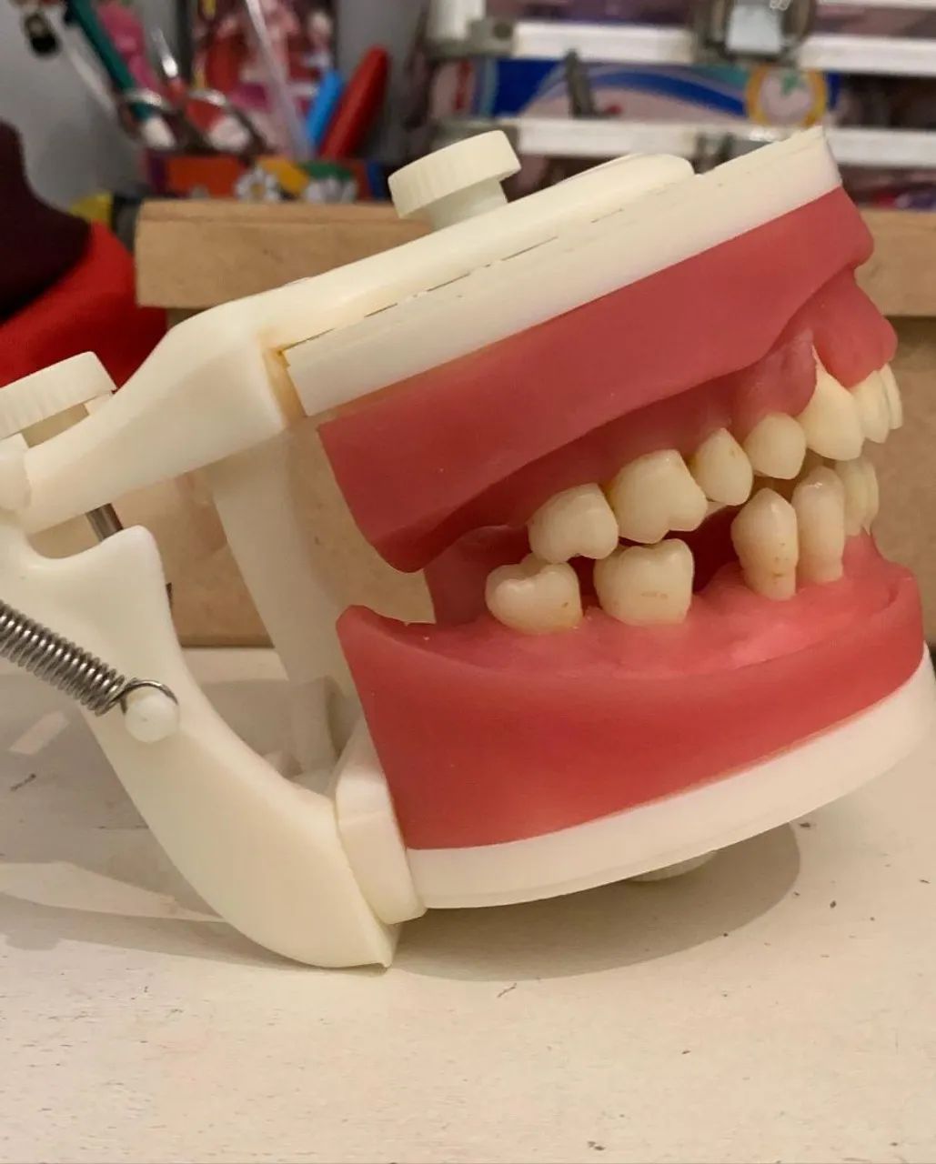 Manequim de periodontia 