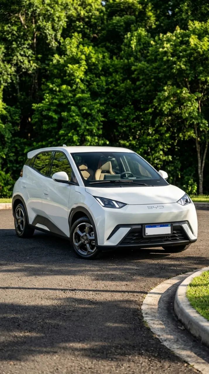 BYD Dolphin Mini (Elétrico) 2025