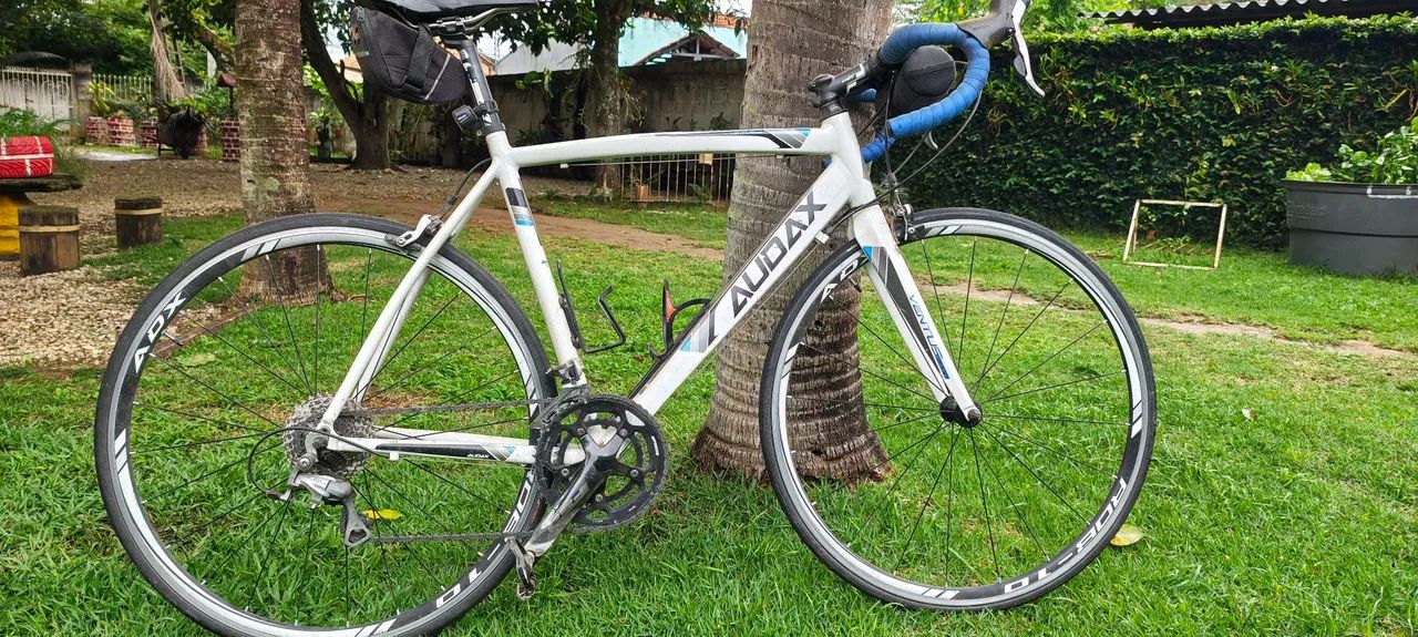 Audax ventus 2000