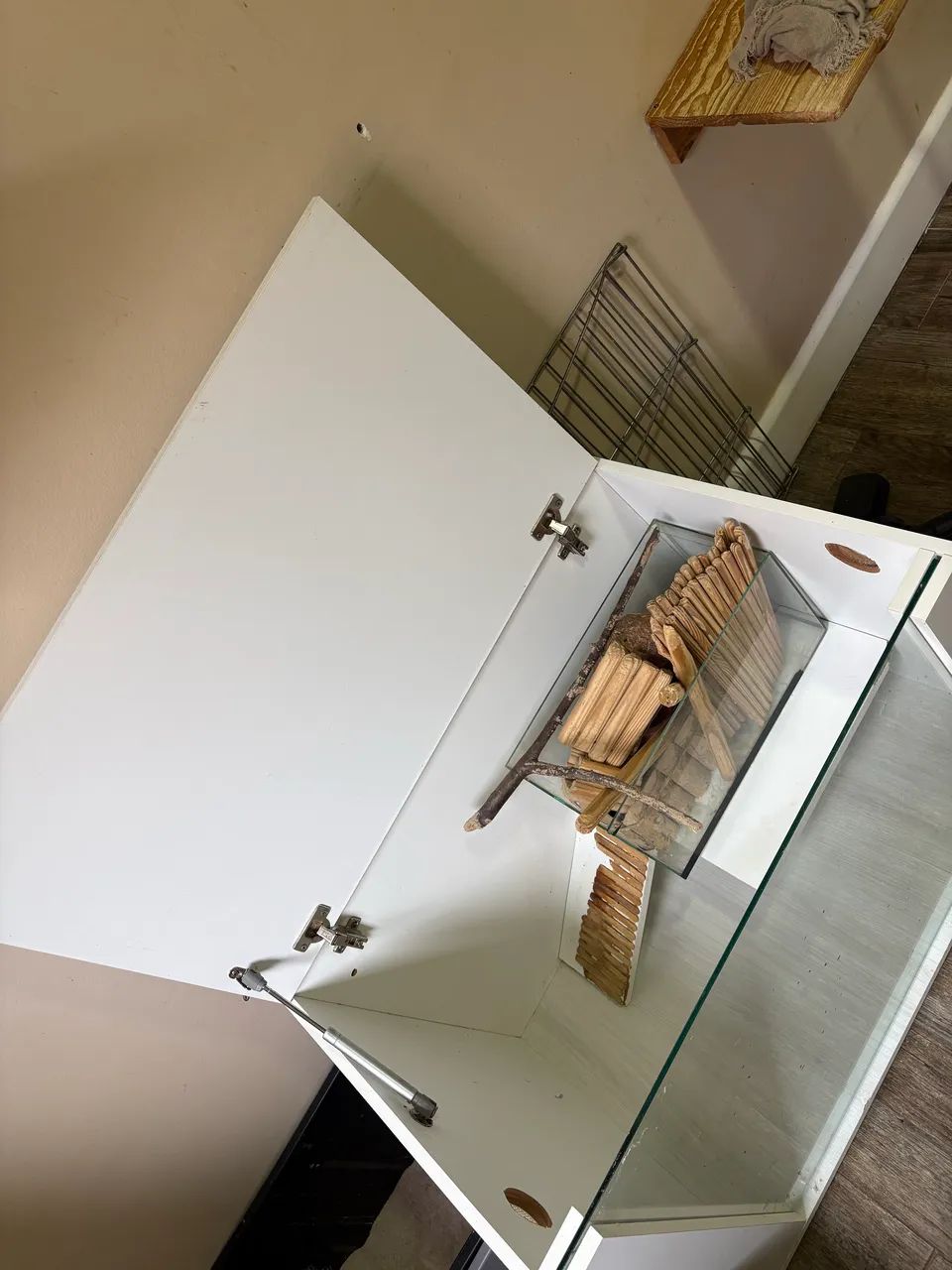 Terrário roedores  - Foto 4