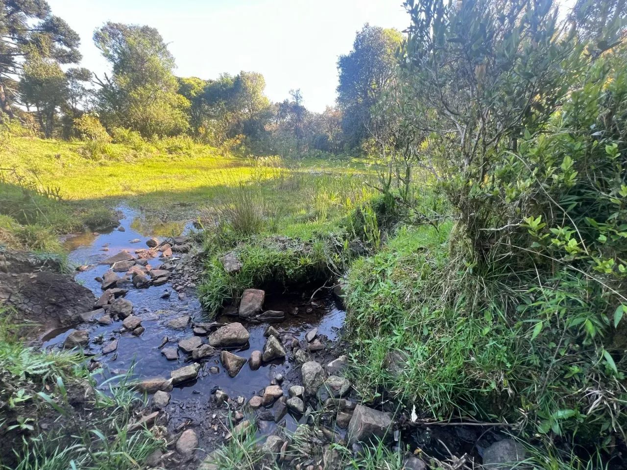 Chácara de 2 hectares em Painel/ SC