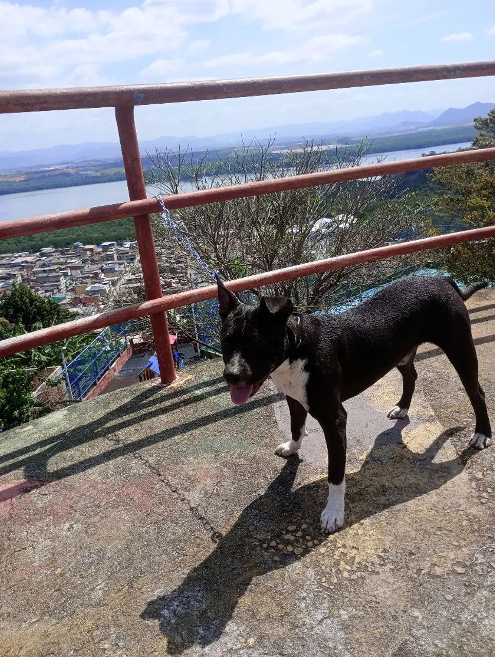 Vendo ou Troco - Foto 3