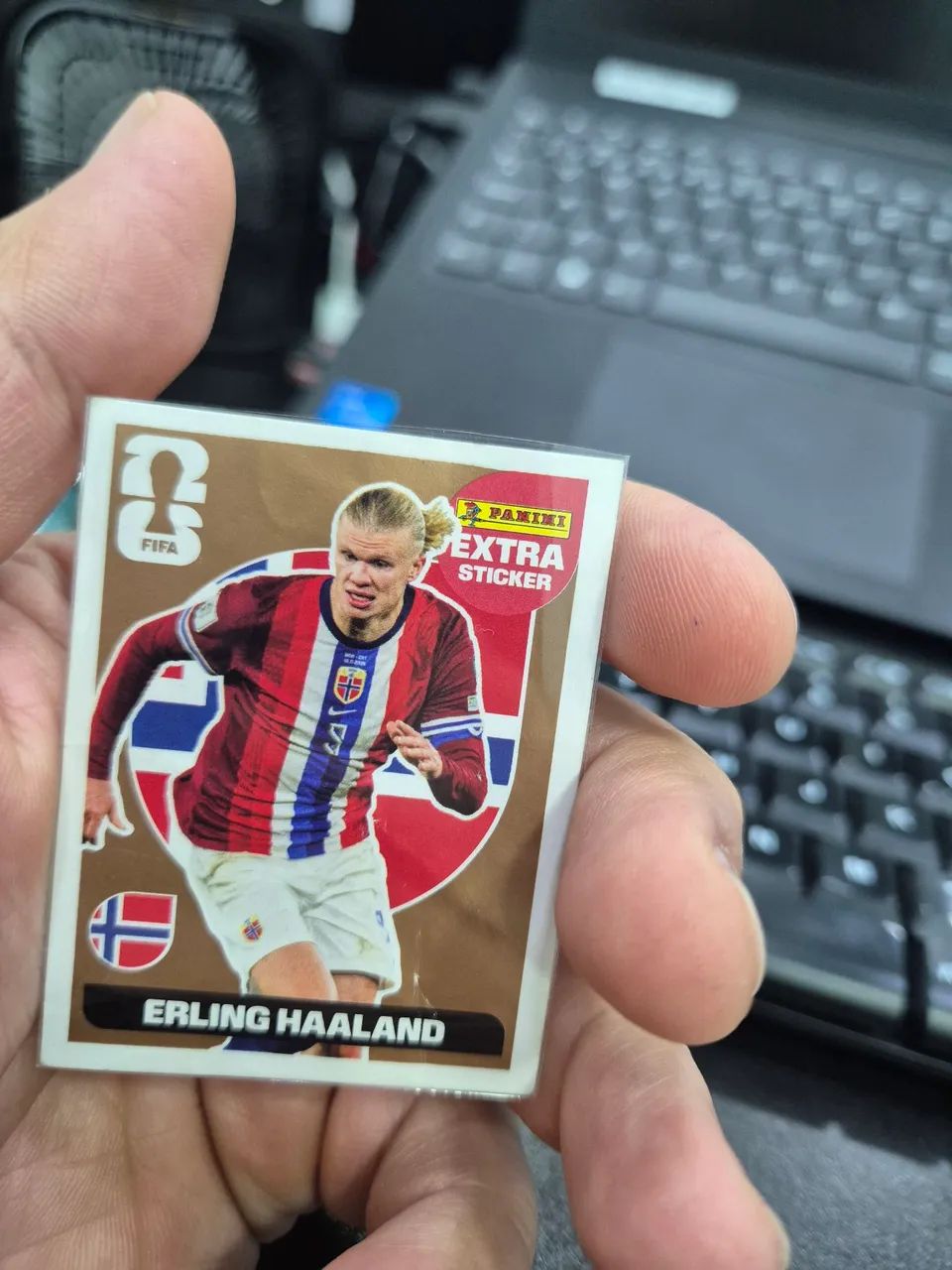 Haaland Bronze - legend