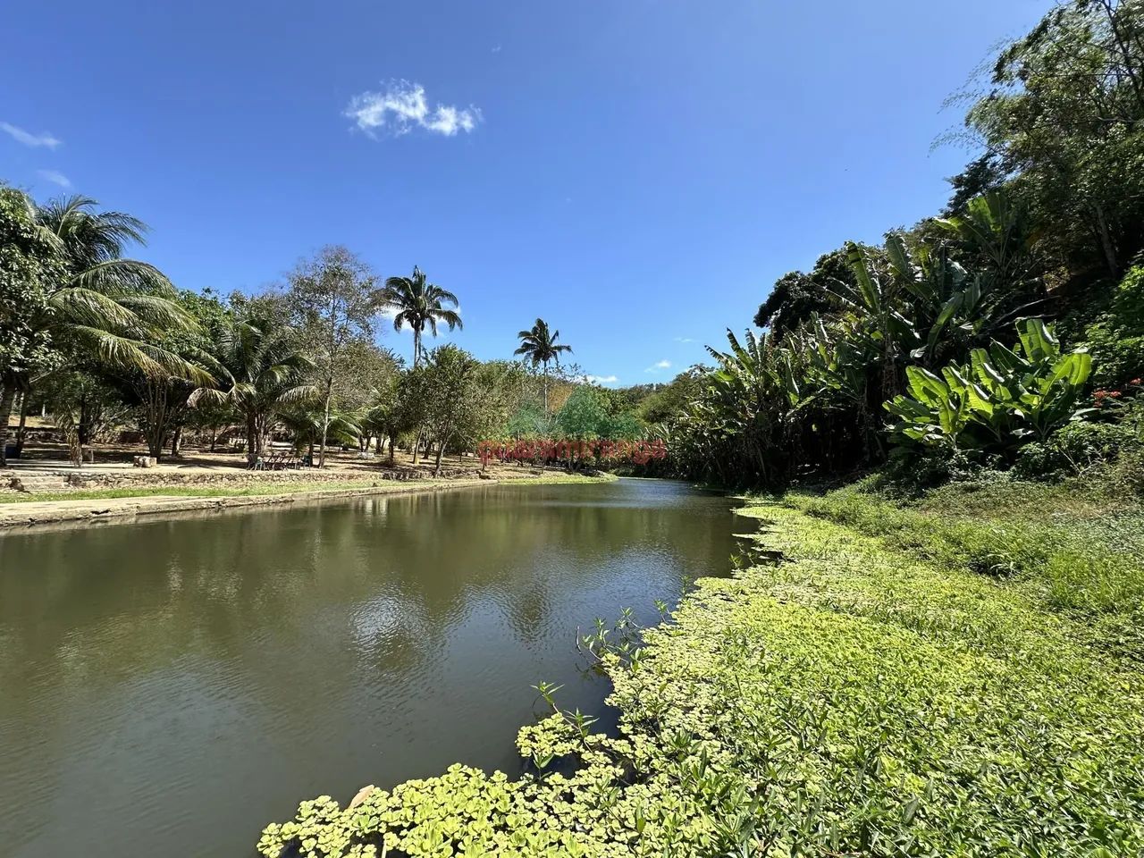 BALEARIO A VENDA EM PACOTI COM RIO PERENE - Foto 3