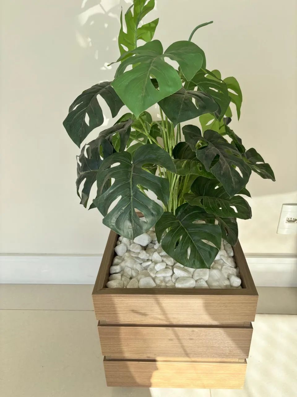 Planta Artificial Costela de Adão em Cachepot 